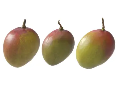 Mango fruit 3D Model Collection
