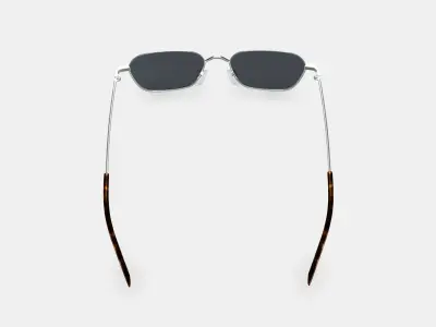 Healey Sunglasses in Polished Silver 3D model