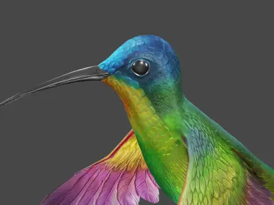 The Flying Hummingbird  3D model