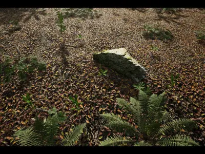 MAE Beech Forest - UE4 and UE5 Low-poly 3D model