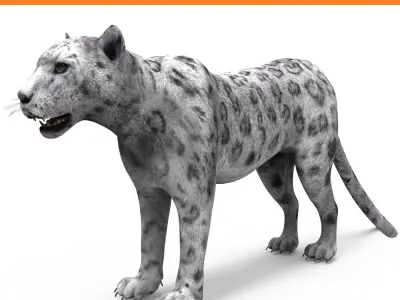 Game ready White Leopard 3D Low-poly 3D model