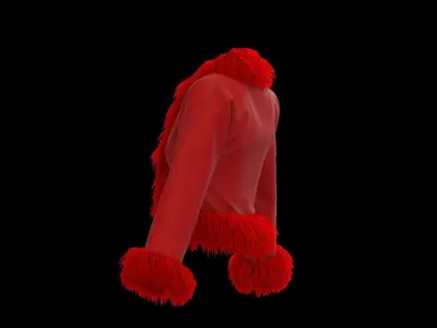 Feather jacket 3D model