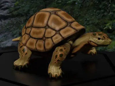 3D Turtle Low-poly 3D model