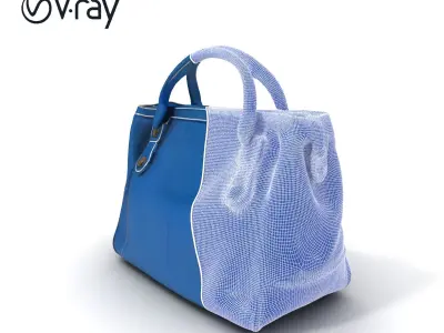Elegant Leather Handbag D Model Pack Low-poly 3D model