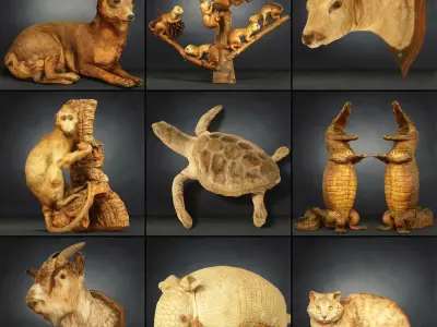 36 Animal Models Master Collection Low-poly 3D model