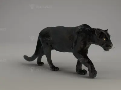Black Jaguar 3D Blender 3D model