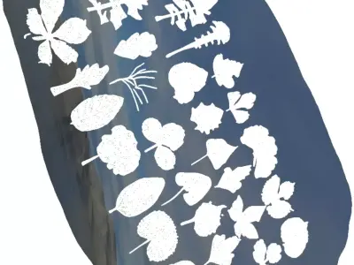 25 Realistic 3D Leaves  3D print model