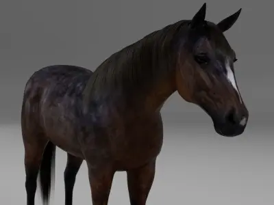 Maya horse bundle  3D model