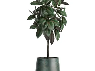 Houseplants in a flowerpot for the interior 942 3D model