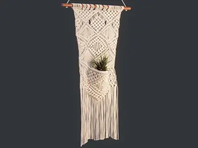 Macrame with Succulent Plant 3D model