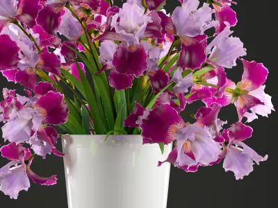 Flower bouquet of iris 3D model