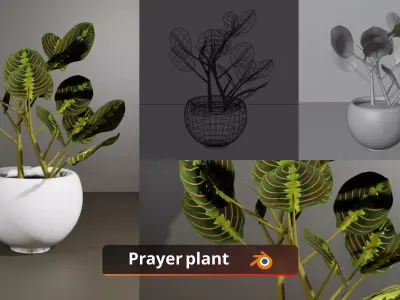Indoor Plants Collection of 22 Potted Plant Models Low-poly 3D model