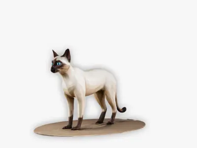 Stylized Cat 3D Model Pack  7 Unique Cat Variations Low-poly 3D model
