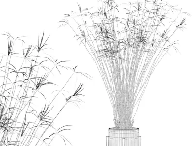 Plants collection 046 3D model