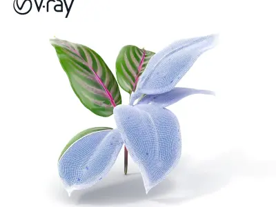 Tropical Plant Leaves Model Pack Low-poly 3D model