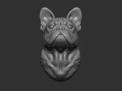French bulldog bust 3D print model