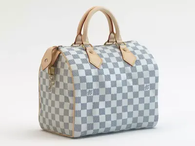 Speedy 25 Hand Bag Checker Blue Low-poly 3D model