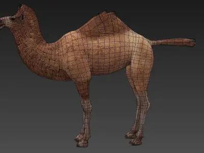 camel Low-poly 3D model