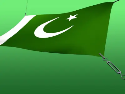 Animated Flag- Wired Transitional Flag  3D model