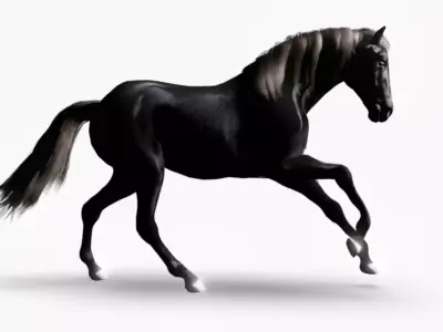 Realistic Black Horse 3D Model Low-poly 3D model