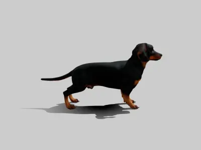 Rigged Animated Pinscher Dog Low-poly 3D model