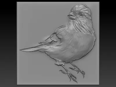 Birdd bird 3D print model