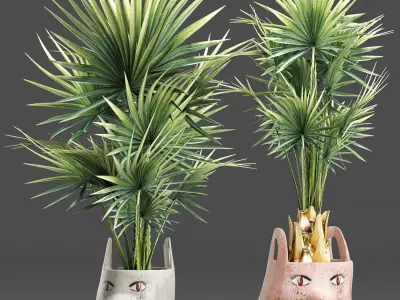 Plants Collection 198 Sabal Minor 3D model