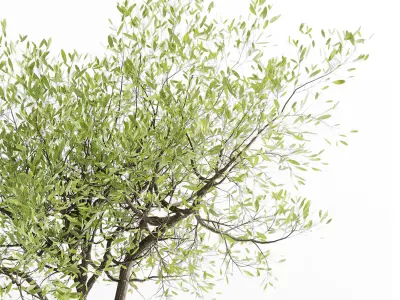 Tree branch in a concrete vase bouquet 27 Low-poly 3D model