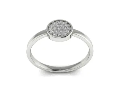 Ring 91b 3D print model