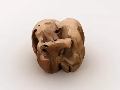 Driftwood walnut 3D model