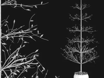 Restoration Hardware christmas decorative set 3D model