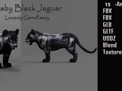 Baby Black Jaguar Cub Low-poly 3D model