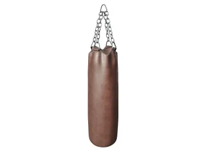 Punching Bag 3D model