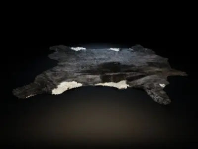 Collection Of Carpets 32 models Low-poly 3D model