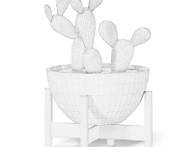 Cactus 3D Model in Brown Pot 3D model