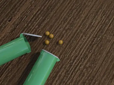 Paintball Pod 3D model