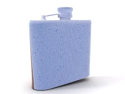 Engraved Leather Flask model pack Low-poly 3D model