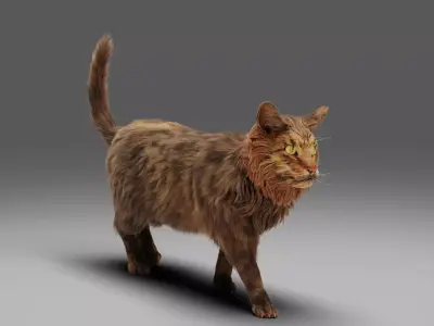 Fur Cat Grey Rigged Low-poly 3D model