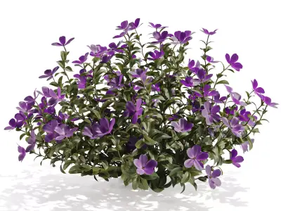 Purple Phlox Bush Arrangement 3D model