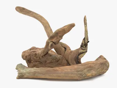 Old Wood Roots Low-poly 3D model