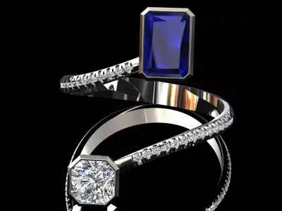 Ring 13 3D print model