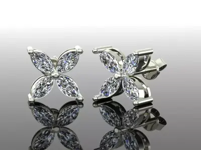 Women Diamond Earrings 3D print model