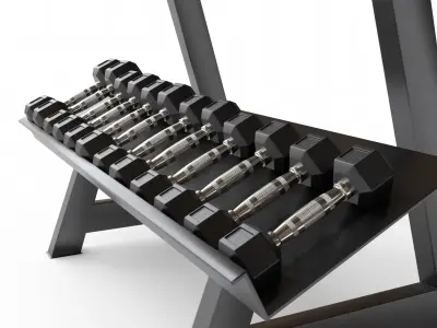Gym Dumbbell Set 005 3D model