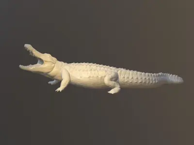 Crocodile entire body 3D Model 3D model