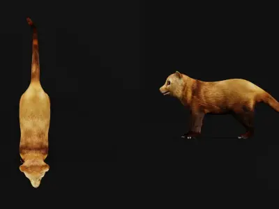 Martens Fisher  Low-poly 3D model