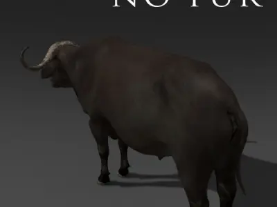 Animated Buffalo - 3d model 3D model