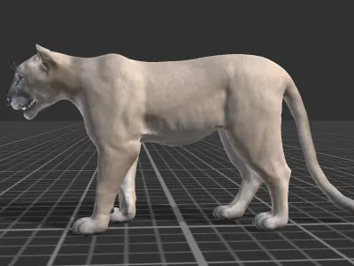 Cougar  Low-poly 3D model