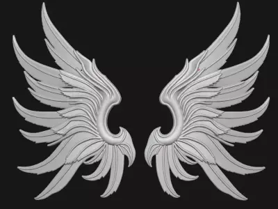 Wings 3D print model