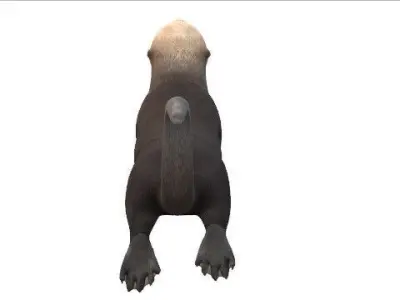 Playful Sea Otter Low Poly VR and AR Ready 3D Model Low-poly 3D model