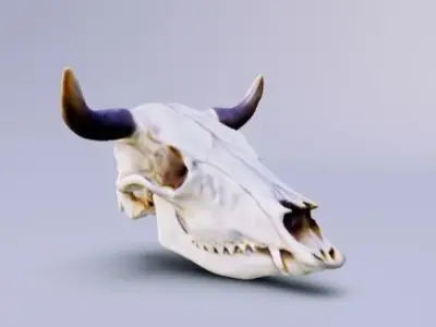 Cowboy cow skull with horns 3D model
